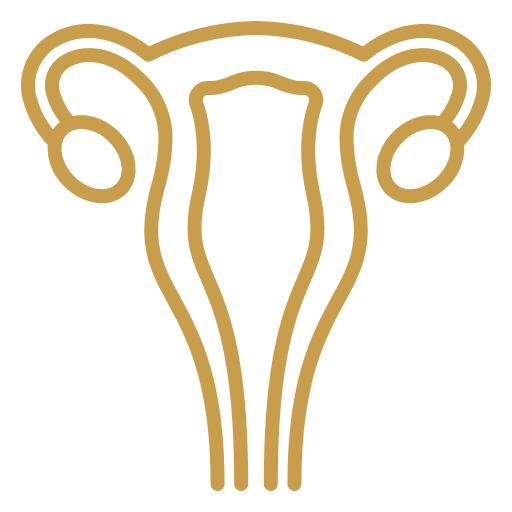 Ginecologia e Obstetrícia